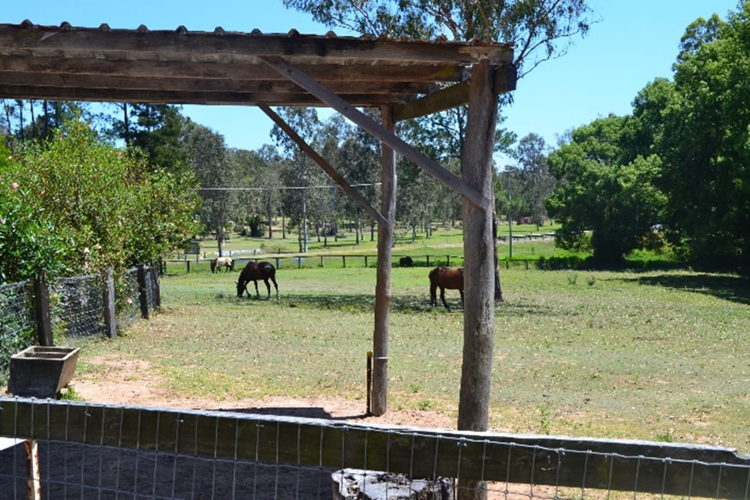 Tamborine Pet Farmstay