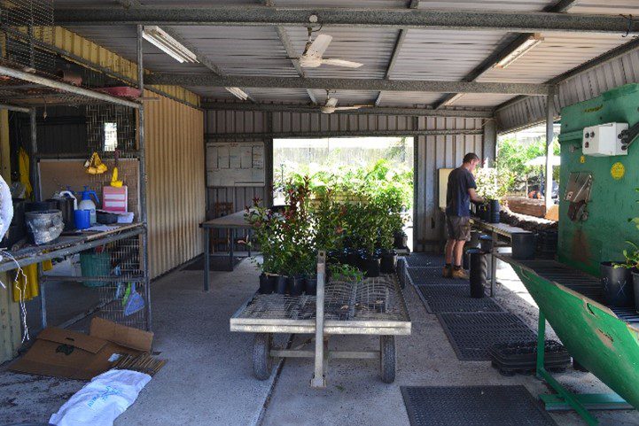 Mt Nathan Nursery